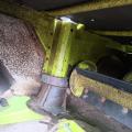 CLAAS Direct Disc 520